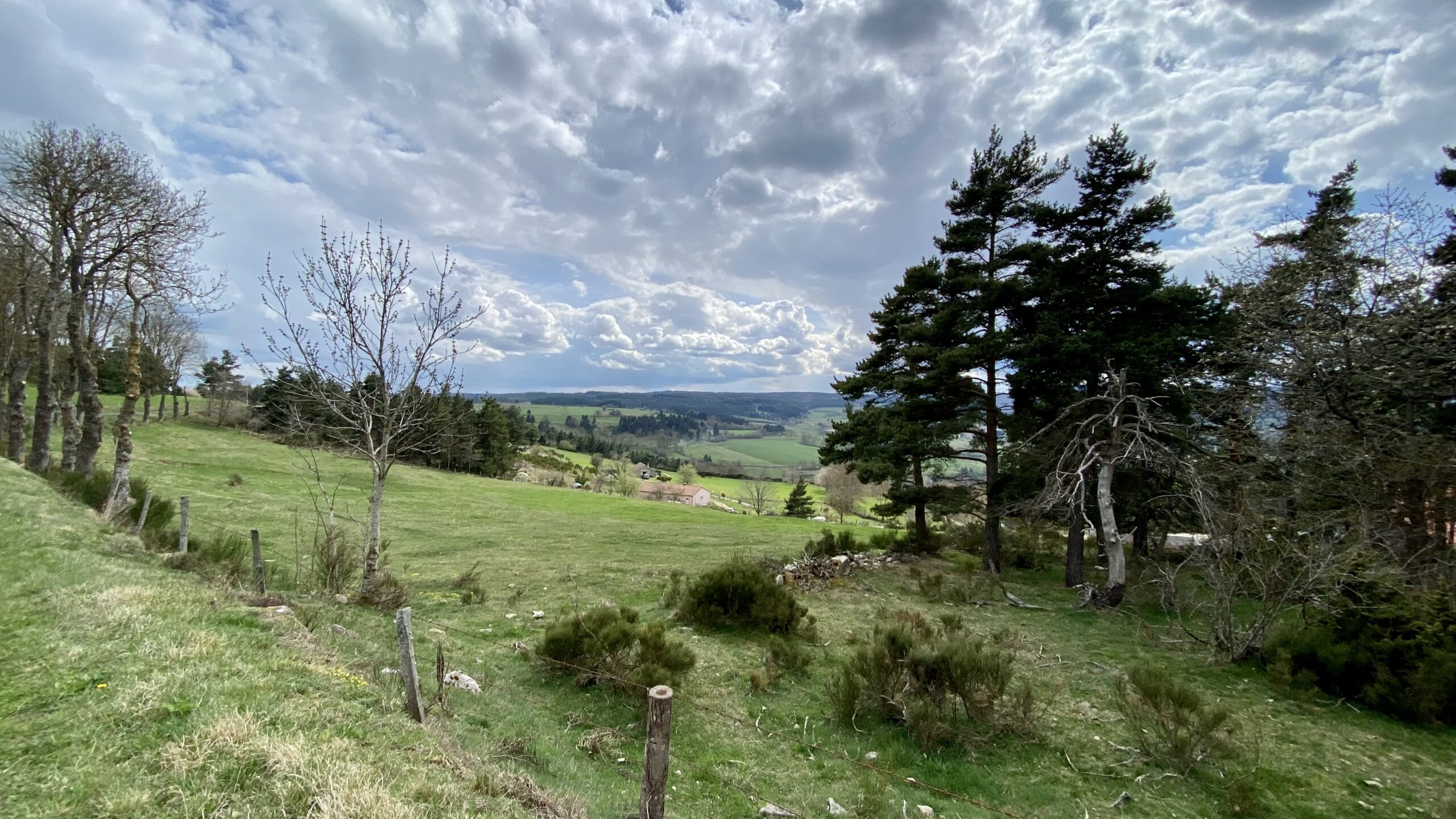 Rivière et nature en Auvergne