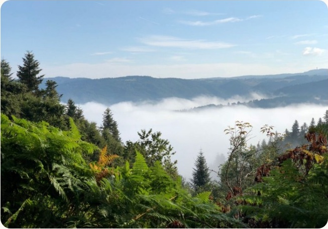 Vue sur la vallée et les gorges