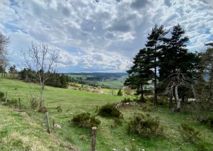 Les 2 Fougères réunies